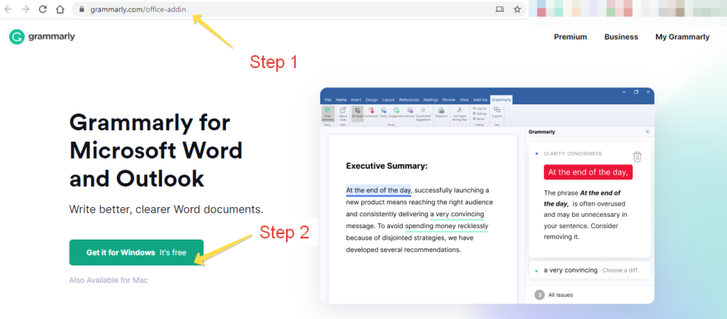 grammarly for word install
