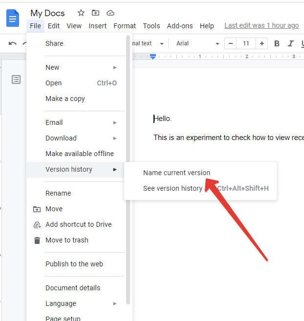 name edit history version in Google Docs