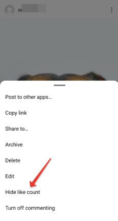 hide likes on Insta after sharing a post 2